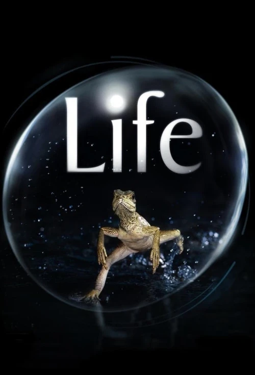 BBC: Жизнь (2009) онлайн бесплатно