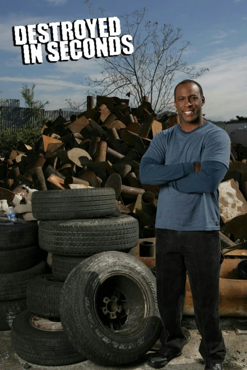 Молниеносные катастрофы (2008) онлайн бесплатно