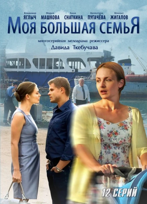 Моя большая семья (2012) онлайн бесплатно