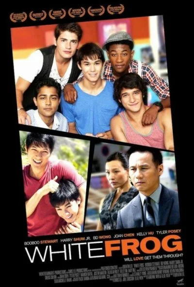 Белая лягушка (2012) онлайн бесплатно